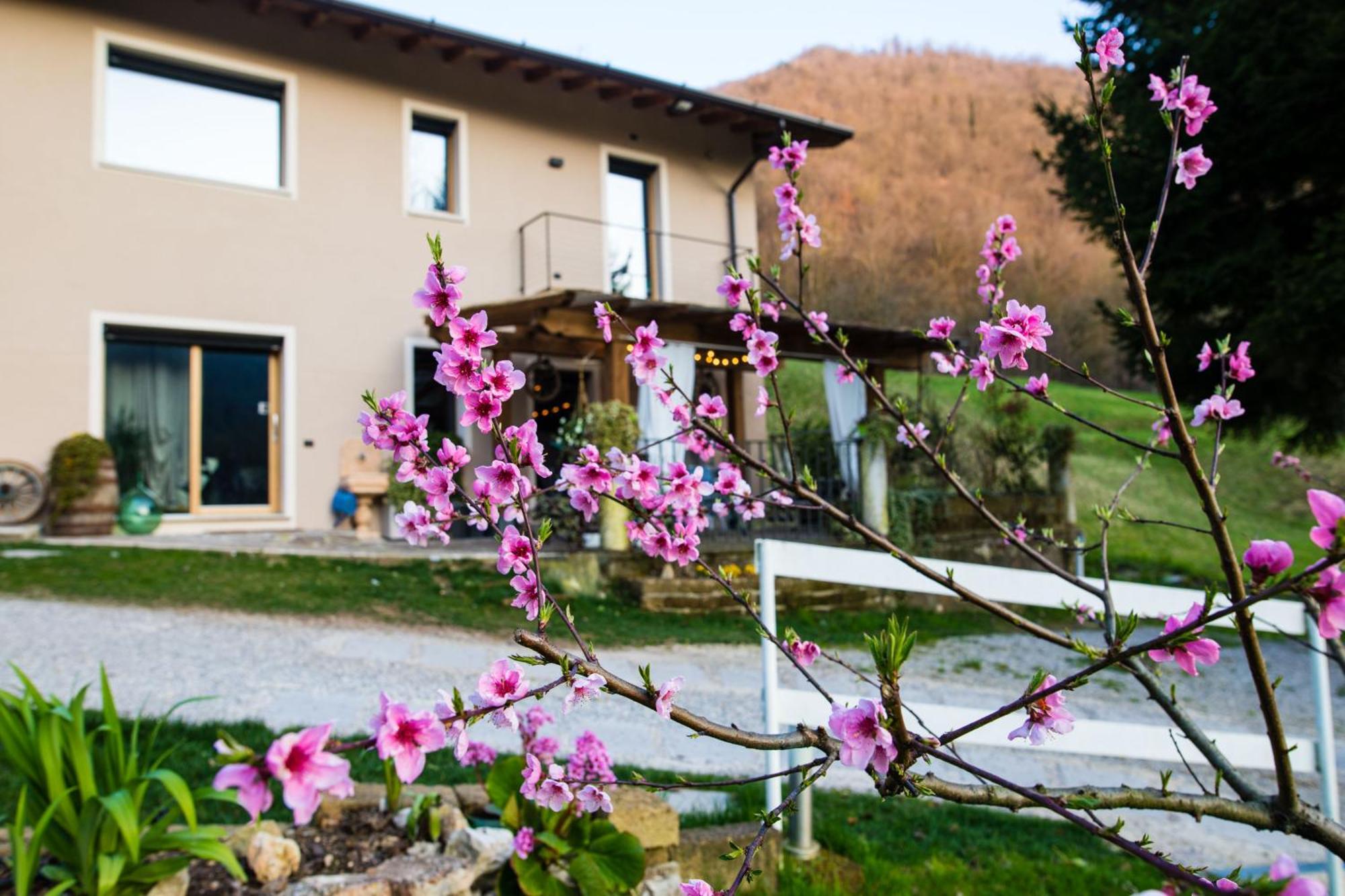 Cascina Canale Sabbio Chiese Εξωτερικό φωτογραφία