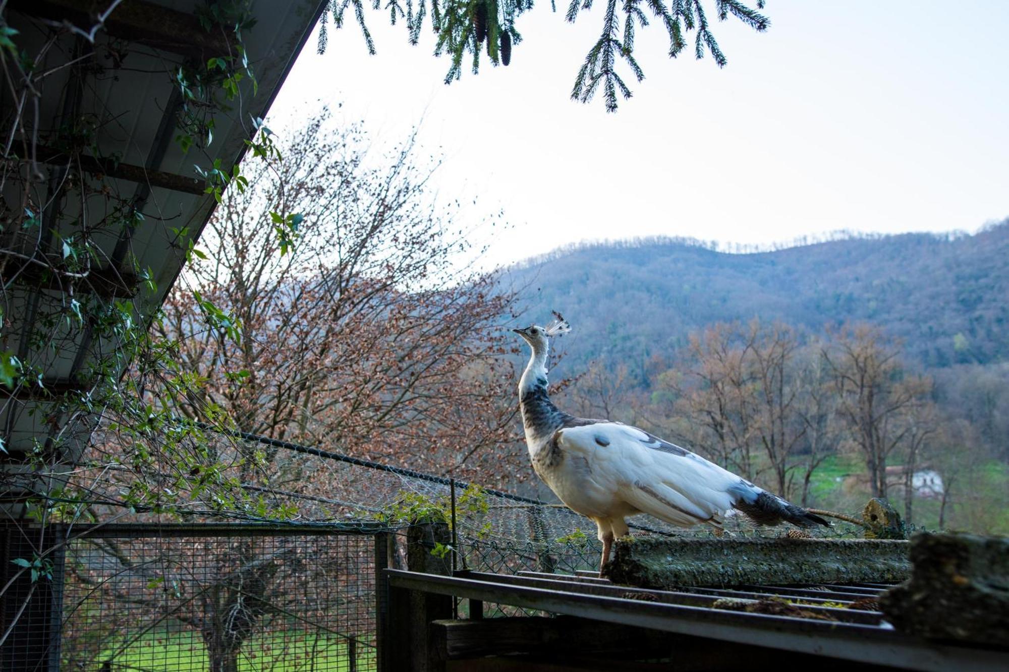 Cascina Canale Sabbio Chiese Εξωτερικό φωτογραφία